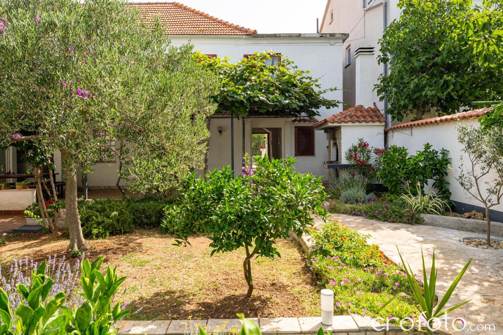 Apartamento Vinka Biograd Na Moru Exterior foto