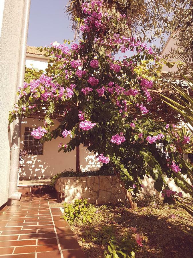 Apartamento Vinka Biograd Na Moru Exterior foto